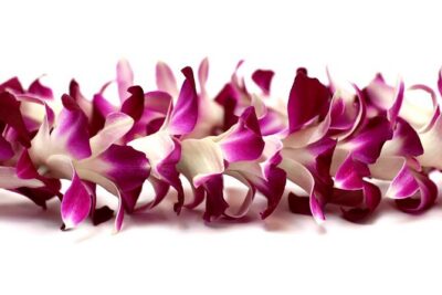 Orchid Airport Lei Greeting (Maui, Kahului Airport, OGG) - The “15 Minutes” Part You Should Actually Plan For