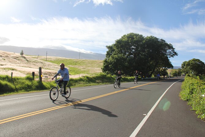 Predawn-Morning Haleakala Bike Tour 6,500 to Sea Level - How hard is it, really? Fitness, speed comfort, and bike quirks