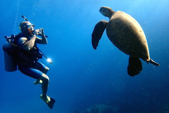 Private and Personalized Scuba Diving Adventures for All Experience Levels - Getting Started in Kaanapali: Timing, Duration, and Morning Logistics