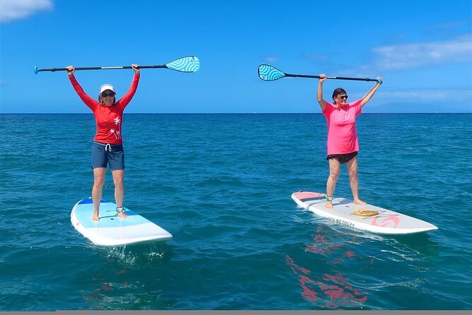 Private Beginner Paddleboard 101 Lesson: Makena Landing! - Turtle Town Wildlife: How to See Sea Turtles Without Stressing Out