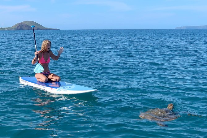 Private Beginner Paddleboard 101 Lesson: Makena Landing! - The 2-Hour Plan: Shore Lesson, Water Check, Then Turtle Town Paddling