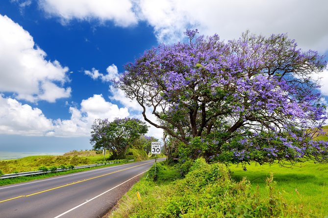 Private Haleakala Summit & Stroll from Kahului - What’s included (and how snacks help at altitude)