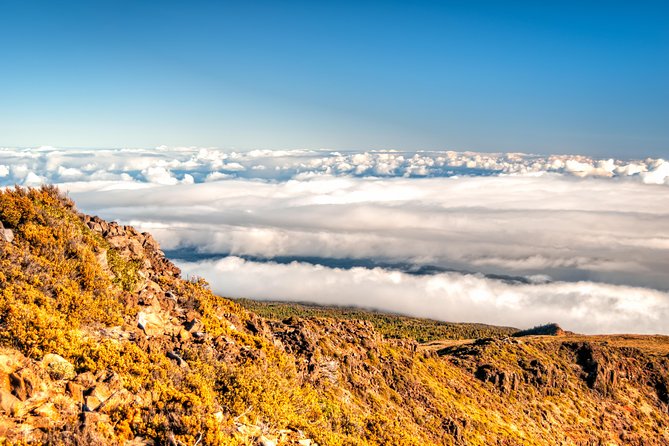 Private Haleakala Summit & Stroll from Kahului - Mobile ticket, private group, and why your “pace” is built in
