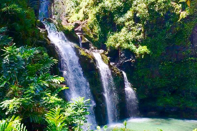 Private Road to Hana Tour - Why a private Road to Hana day feels easier than renting a car