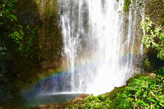 Private Road to Hana Tour - Stop-by-stop: Bamboo Forest, Waikamoi, and Ke‘anae Point
