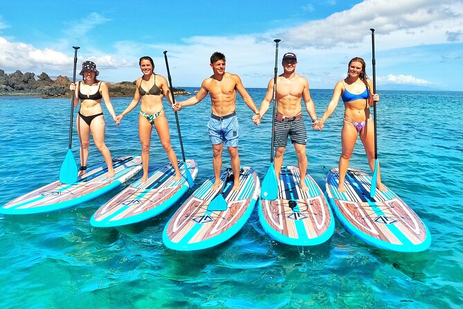 Private Stand Up Paddle Boarding Tour in Turtle Town, Maui - Wildlife in Turtle Town: what you should actually expect
