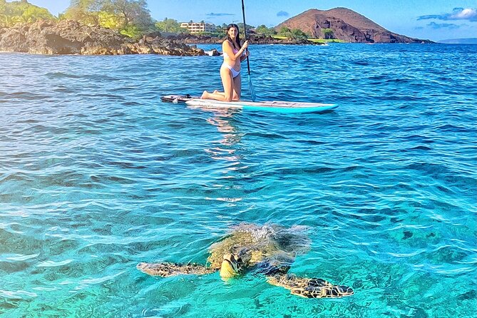 Private Stand Up Paddle Boarding Tour in Turtle Town, Maui - Price and value: why $169 can make sense here
