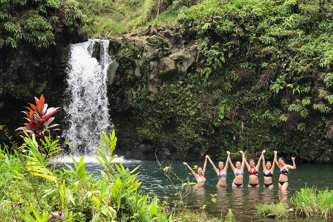 Private Unique Road to Hana Adventure - Wailua Falls and the Seven Sacred Pools Bridge Photo Stop