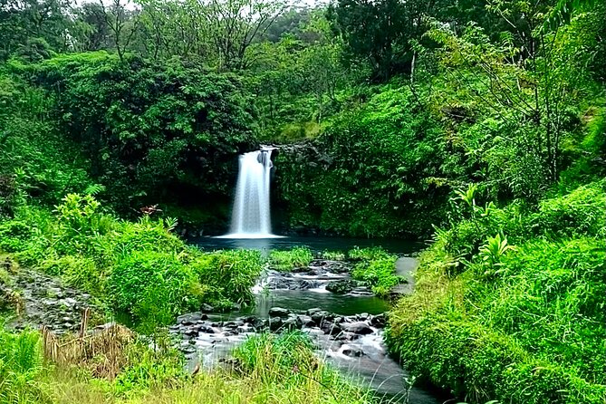 Rainforest Tour to Hana and Beyond - Road to Hana pacing: why the 6:30 am start matters
