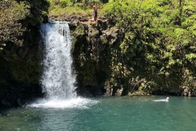 Rainforest Tour to Hana and Beyond - Getting picked up in Kahului: van comfort and the small-group vibe