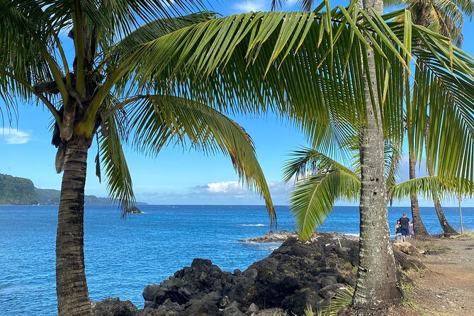 Rainforest Tour to Hana and Beyond - Hana town and Ke‘anae Peninsula: local treats, coastal drama, and short stopouts