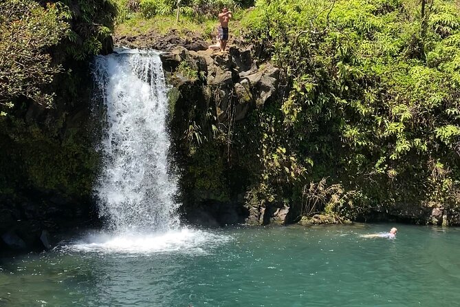 Rainforest Tour to Hana and Beyond - Getting picked up in Kahului: van comfort and the small-group vibe