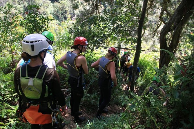 Rappel Maui Waterfalls and Rainforest Cliffs - Waterfalls, cliff jumps, and swim time when the rainforest actually delivers