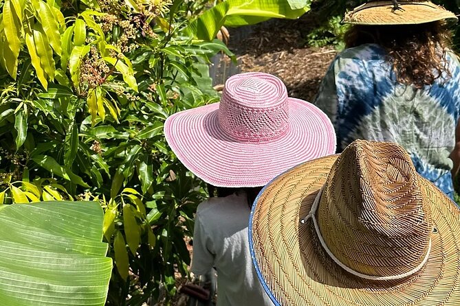Regenerative Mango and Tropical Fruit Tour in West Maui - Key highlights before you go