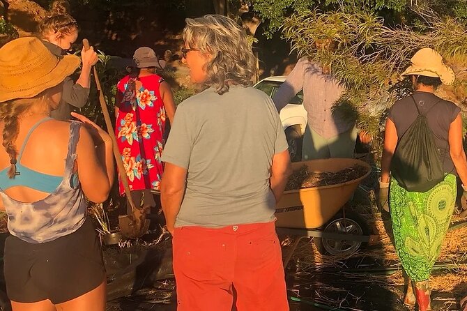Regenerative Mango and Tropical Fruit Tour in West Maui - The end plate and the self-guided sunset window
