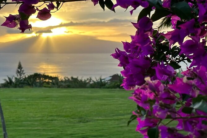 Regenerative Mango and Tropical Fruit Tour in West Maui - Who this is best for (and who might skip it)