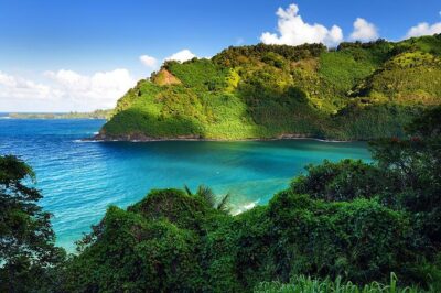 Road to Hana Adventure Maui Tour with Lunch - The Road to Hana Highway Drive: Waterfalls and Photo Stops on Every Turn