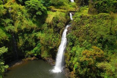 Road To Hana Black Sand Beach Waterfalls & Turtles Tour - The Van, the Pace, and Why Max 11 People Changes the Day