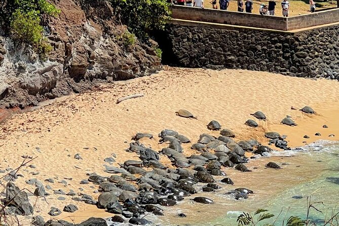 Road To Hana Black Sand Beach Waterfalls & Turtles Tour - Wailua Valley Wayside Park for a Breather Between Stops