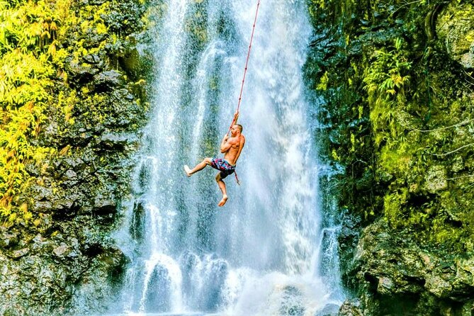 Road To Hana Black Sand Beach Waterfalls & Turtles Tour - What You’re Really Buying for $165