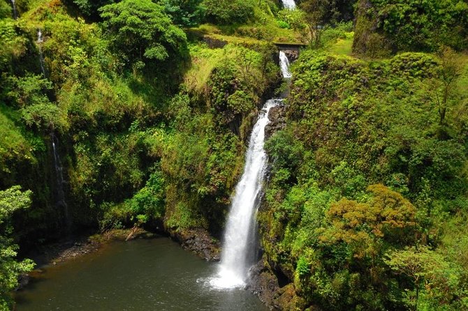 Road To Hana Black Sand Beach Waterfalls & Turtles Tour - The Van, the Pace, and Why Max 11 People Changes the Day