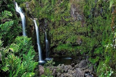 Road to Hana Deluxe Rainforest & Waterfall Experience from Maui - A 6:00am Pickup Means You Start Before the Road Gets Busy