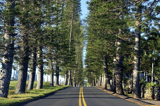Road to Hana: Full-Day Scenic Drive with Blacksand & Waterfalls - Road to Hana without the stress: what you’re actually buying