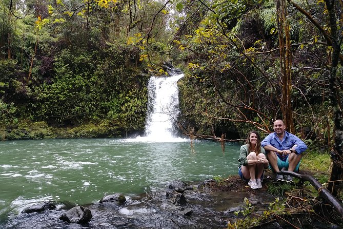 Road To Hana: Maui Waterfall Hiking Tour in Private Jeep - Lunch at a local food stall: the fuel that tastes better than “tour food”