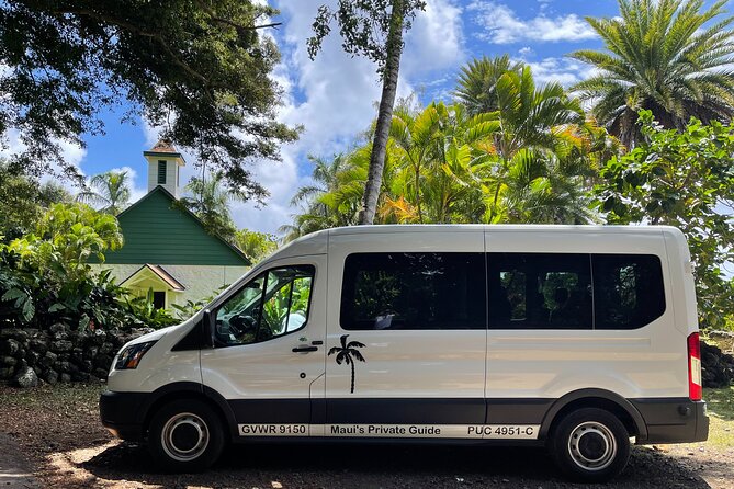 Road to Hana Private Jungle Tour - A private Road to Hana day: what changes when it’s just your group