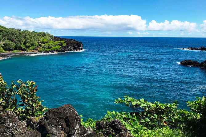 Road to Hana Private Jungle Tour - From arboretum to shoreline snacks: picking your stops near Hana