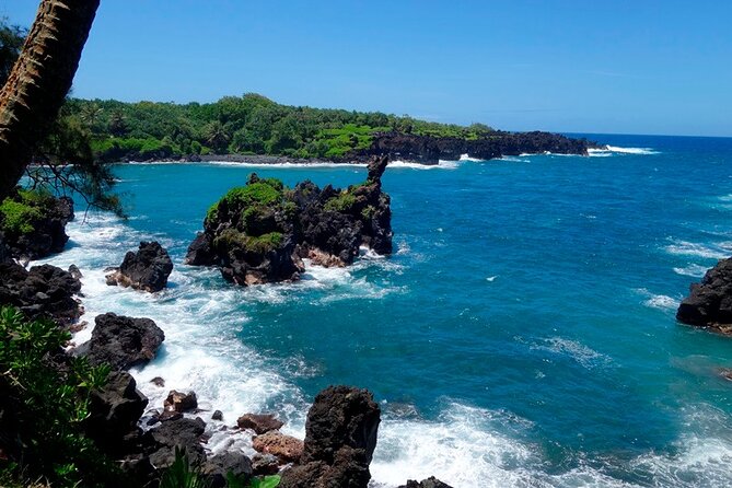 Road to Hana Rainforest, Black Sand Beach, Waterfalls & Lunch - Why the Road to Hāna feels easier in a small-group van