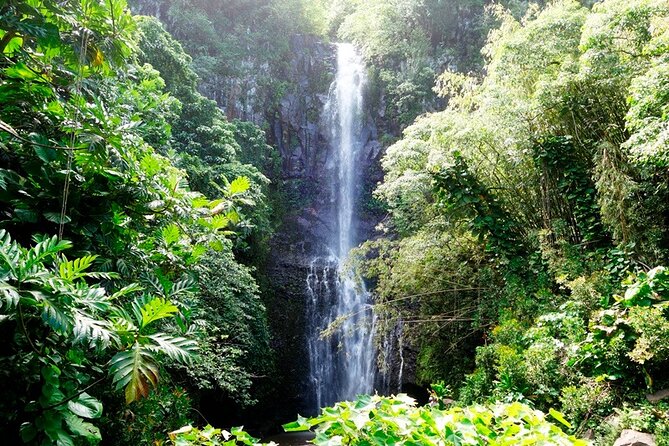 Road to Hana Rainforest, Black Sand Beach, Waterfalls & Lunch - Upper Waikani Falls and Wailua Falls: the best roadside views