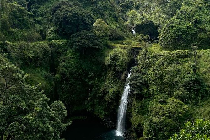 Road to Hana Small-Group, Waterfalls, Black Sand Beach & Pickup - Small-Group Comfort on a Winding Island Day