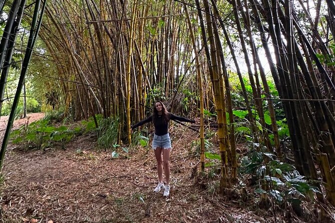 Road to Hana Small-Group, Waterfalls, Black Sand Beach & Pickup - Aunty Sandy’s Banana Bread and the Bamboo Forest Pass