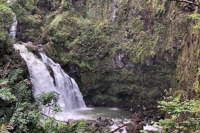 Road to Hana Tour - Best of Maui - Road to Hana From Paia: The Early Start That Sets the Tone