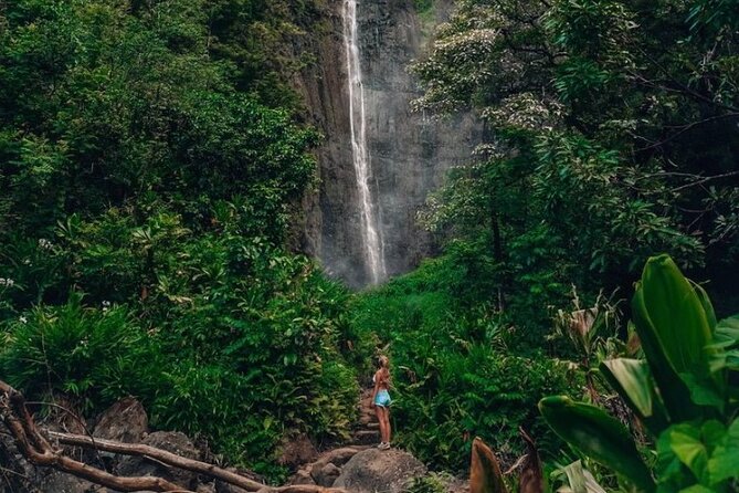 Road to Hana Tour - Best of Maui - Price and Value: What $333 Buys You on a Road to Hana Day