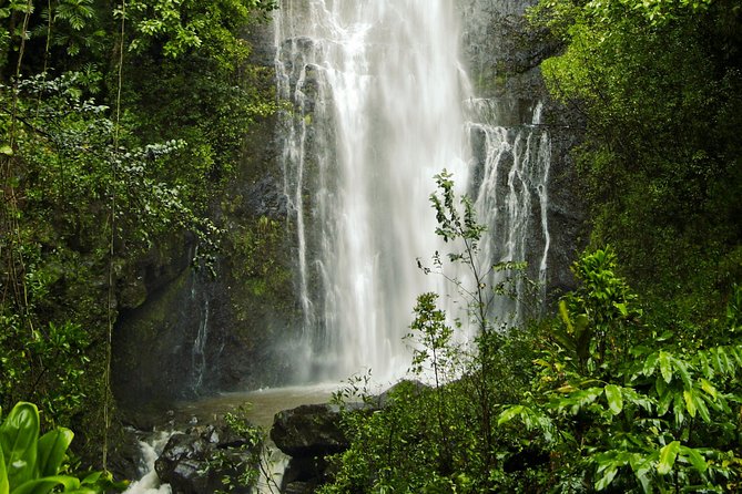 Road to Hana Tour with Lunch and Pickup - Lunch at a local flower farm: more than a break
