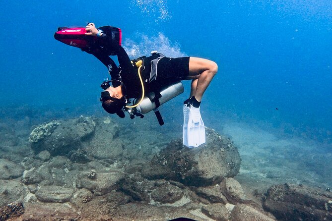 Scuba Diving in Maui with No Experience Needed - Key things to know before you book