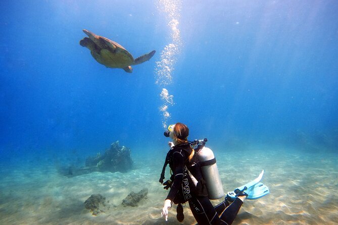 Scuba Diving in Maui with No Experience Needed - Lahaina meeting point and the “what happens first” feel