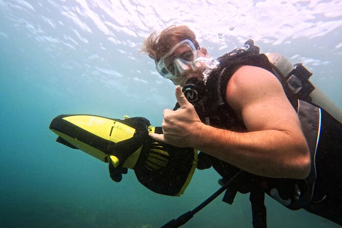 Scuba Diving in Maui with No Experience Needed - Price and value: is $199 fair for a beginner scuba session?