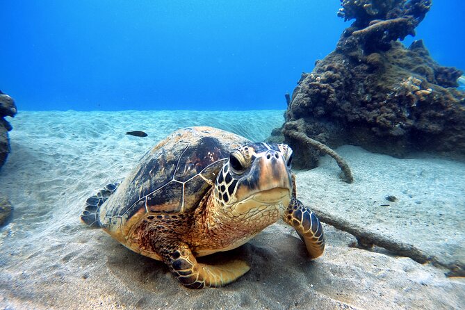 Scuba Diving in Maui with No Experience Needed - Planning your day after: the 1,000-foot rule for 12 hours