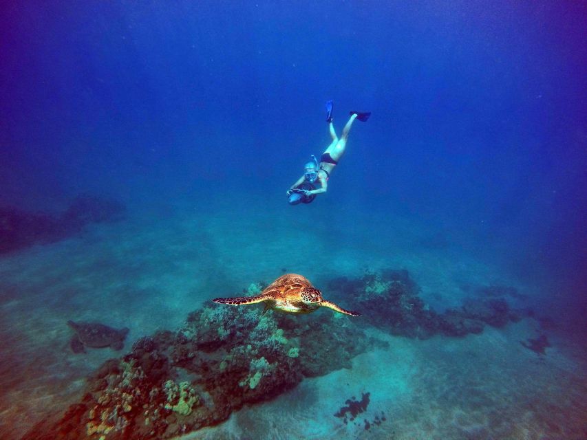 Sea Scooter Snorkeling Guided Tour - Wailea Beach - Sea scooter snorkeling at Wailea: why this format feels easier