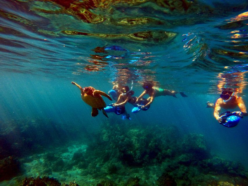 Sea Scooter Snorkeling Guided Tour - Wailea Beach - What you’ll likely see: turtles, fish, and reef life