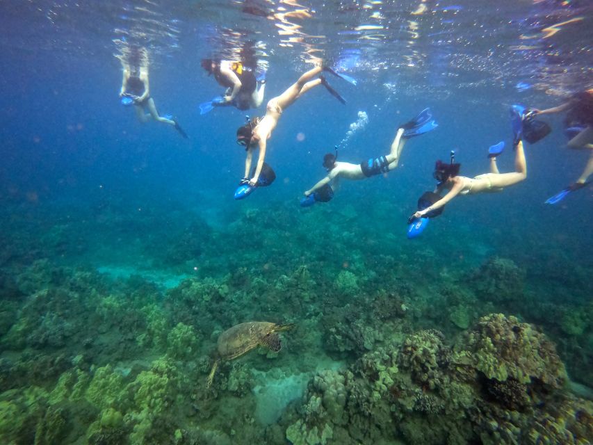 Sea Scooter Snorkeling Guided Tour - Wailea Beach - Guides, group size, and why it feels personal