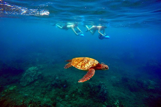Sea Scooter Snorkeling Tour with GoPro - Wailea Beach - The Tour Flow: Briefing, Gear Fit, and Guided Scooter Snorkeling