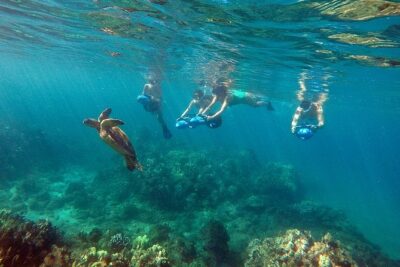 Sea Scooter Snorkeling Tour with GoPro - Wailea Beach - Sea Scooter Snorkeling: The Real Benefit Is Less Tiring, More Seeing