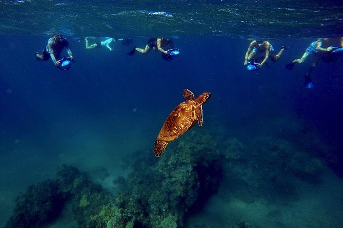 Sea Scooter Snorkeling Tour with GoPro - Wailea Beach - Underwater Photos and GoPro-Style Memories: What’s Included and What Costs Extra