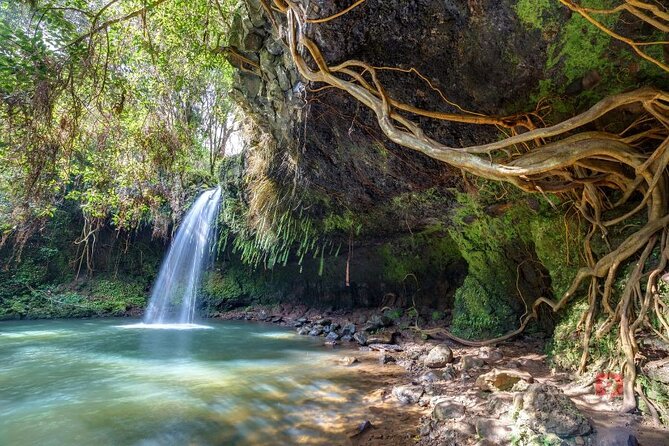 Self-Guided Audio Driving Tour in Road To Hana - Planning your Hana day: timing, safety, and reservations