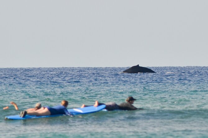 Semi Private Surf Lessons with Experienced Coaches - Key points before you book