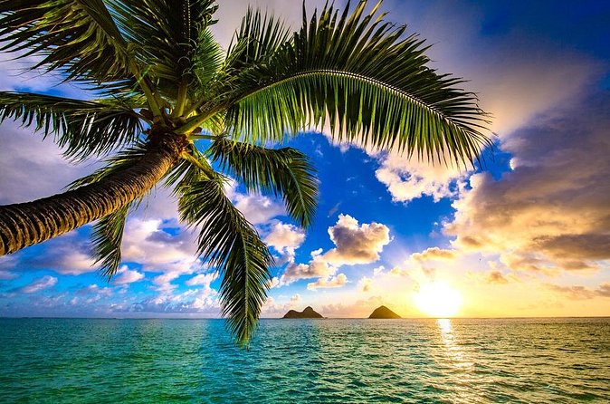 Shared Departure Transfer: Hotel to Maui Kahului Airport - Timing and Airport Day Tips for OGG